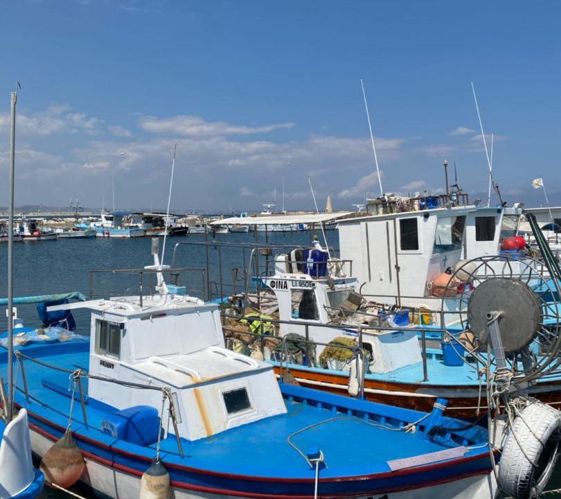 Photo of Others in Larnaca City Centre