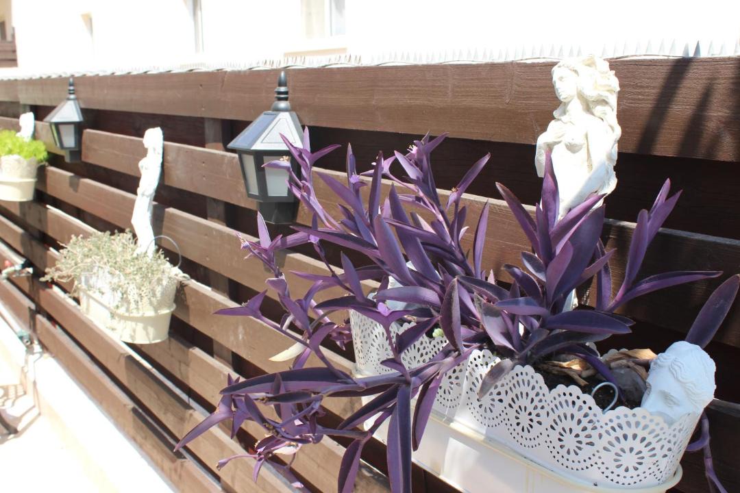 Photo of Patio Balcony in Universal