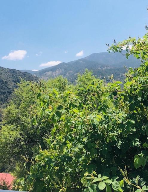 Photo of Others in Kalopanayiotis