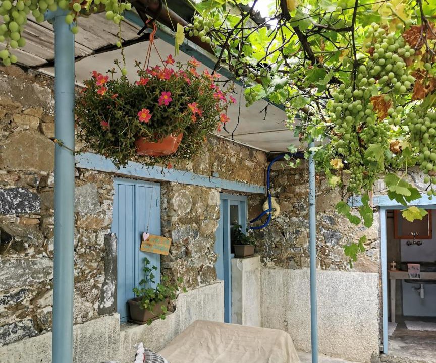 Photo of Others in Prodromos