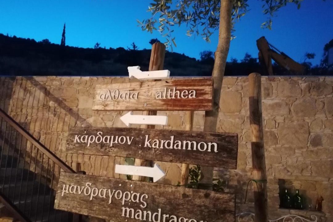 Photo of Others in Oroklini