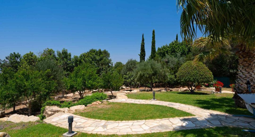 Photo of Others in Aphrodite Hills
