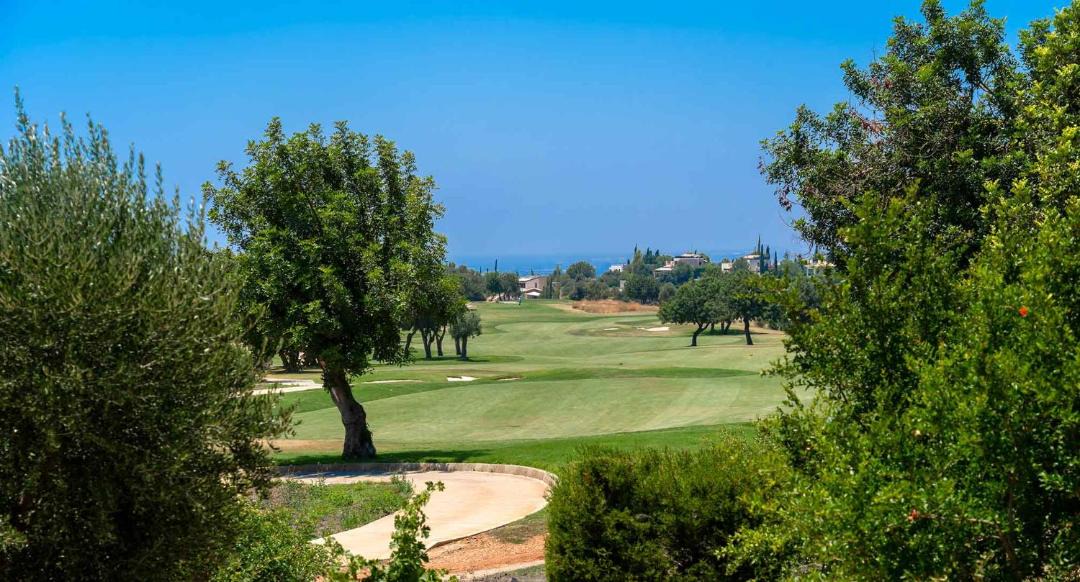 Photo of Others in Aphrodite Hills