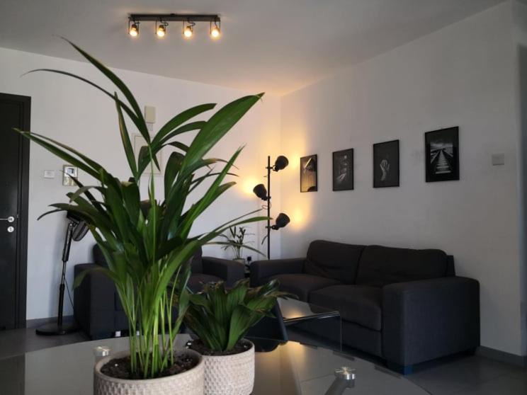 Photo of Livingroom in Larnaca