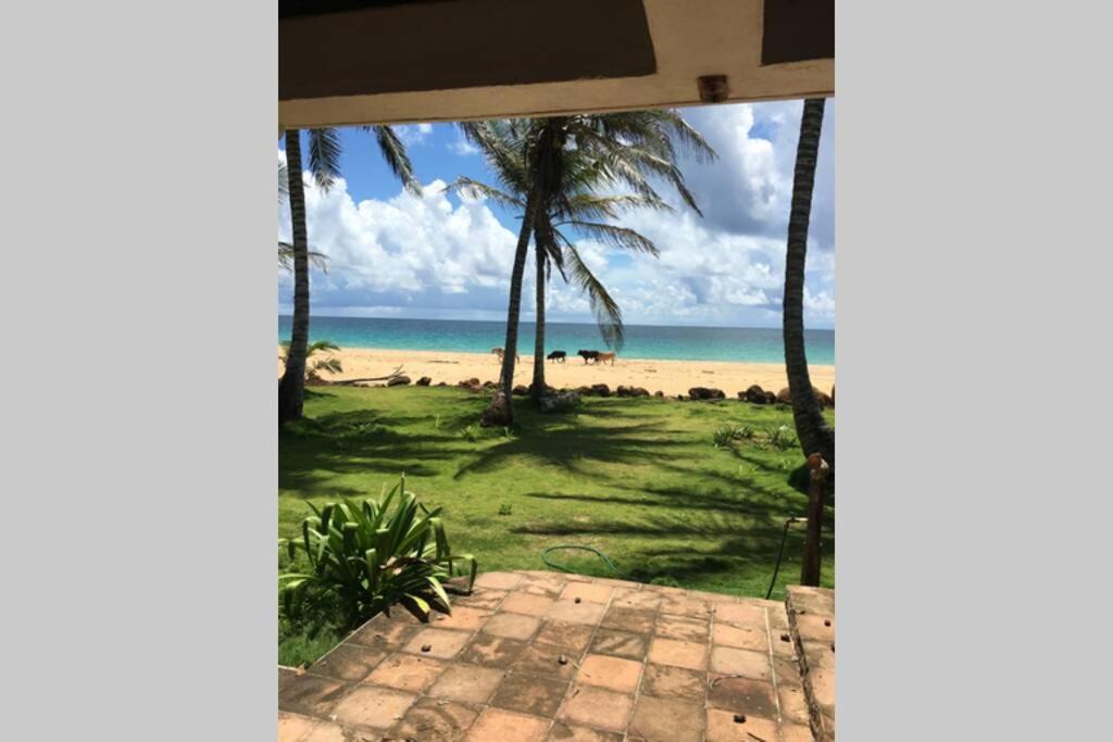 Photo of Others in Corn Island