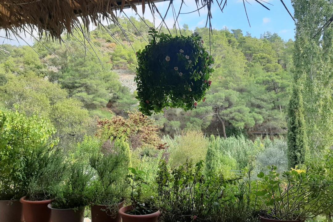 Photo of Others in Apsiou
