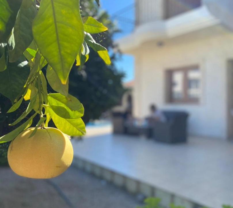 Photo of Others in Episkopi