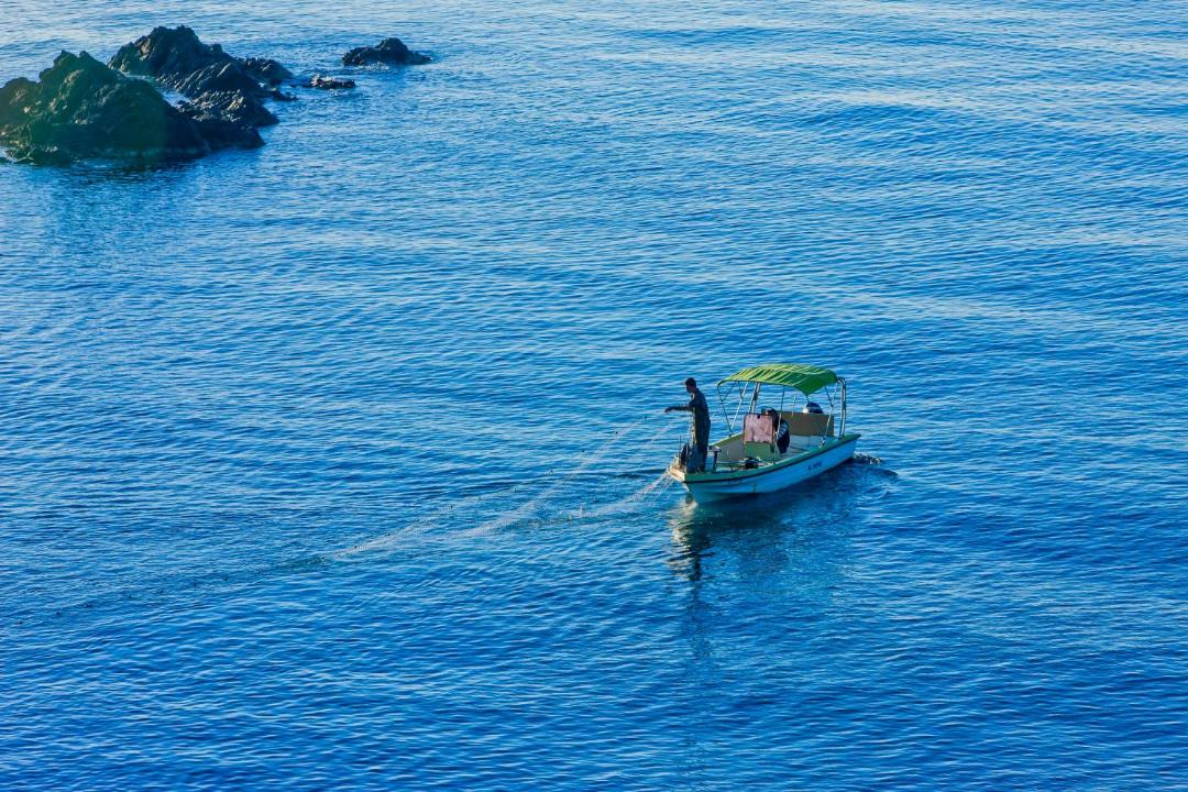 Photo of Others in Pomos