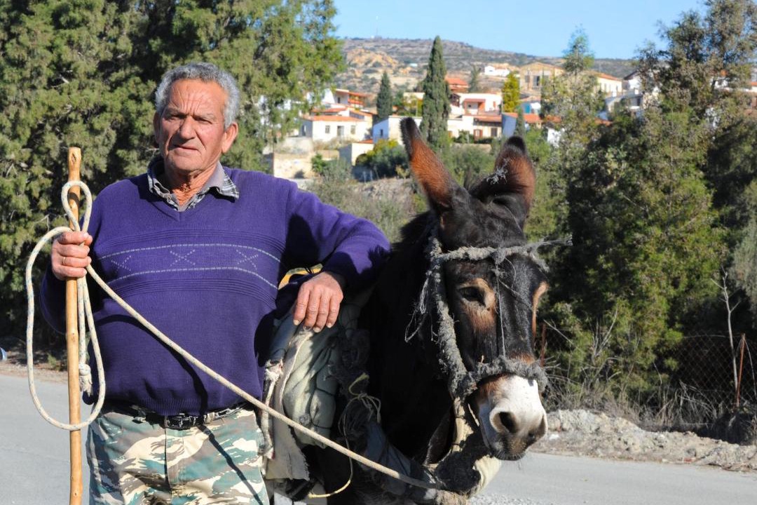 Photo of Others in Maroni