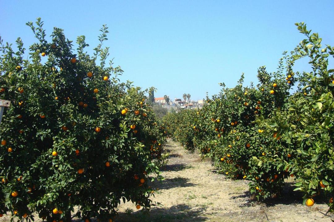 Photo of Outdoor in Goudi