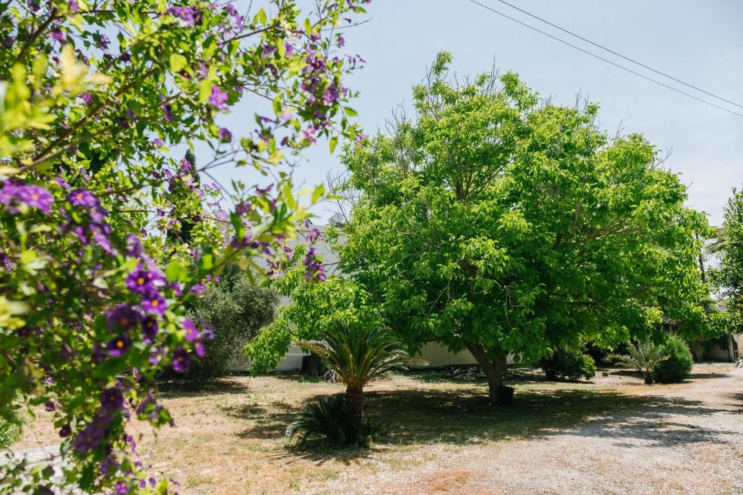Photo of Others in Pano Akourdalia