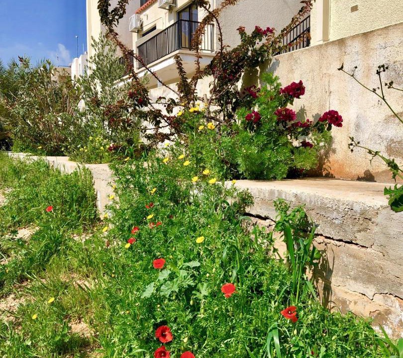 Photo of Buildings in Ayia Napa