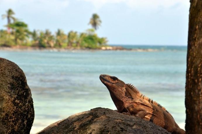 Photo of Others in Corn Island