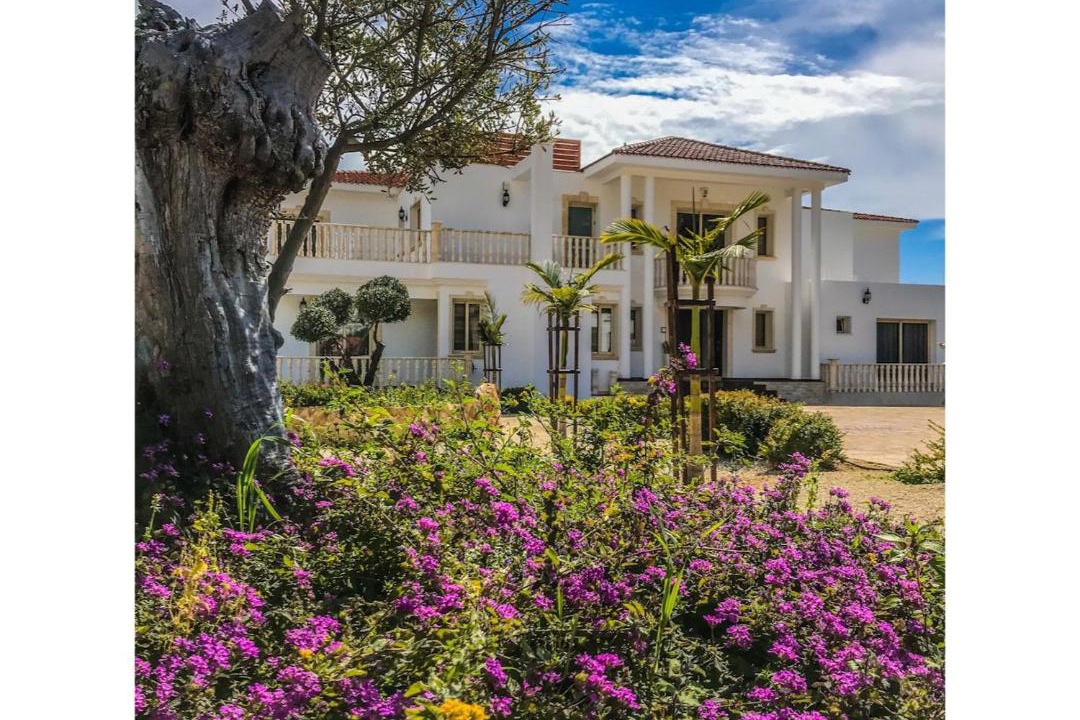 Photo of Buildings in Peyia Town