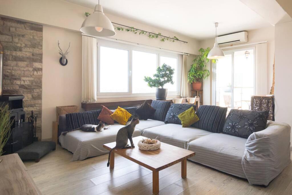 Photo of Livingroom in Nicosia