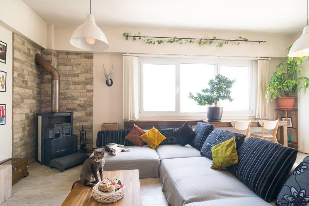Photo of Livingroom in Nicosia