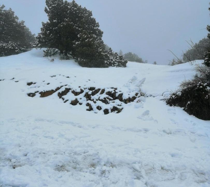Photo of Outdoor in Vasa Koilaniou