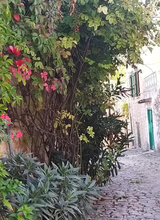 Photo of Others in Vouni