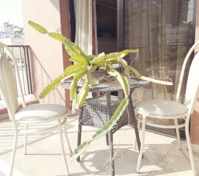 Photo of Patio Balcony in Neapolis