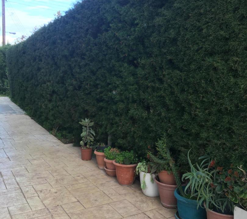 Photo of Others in Paphos
