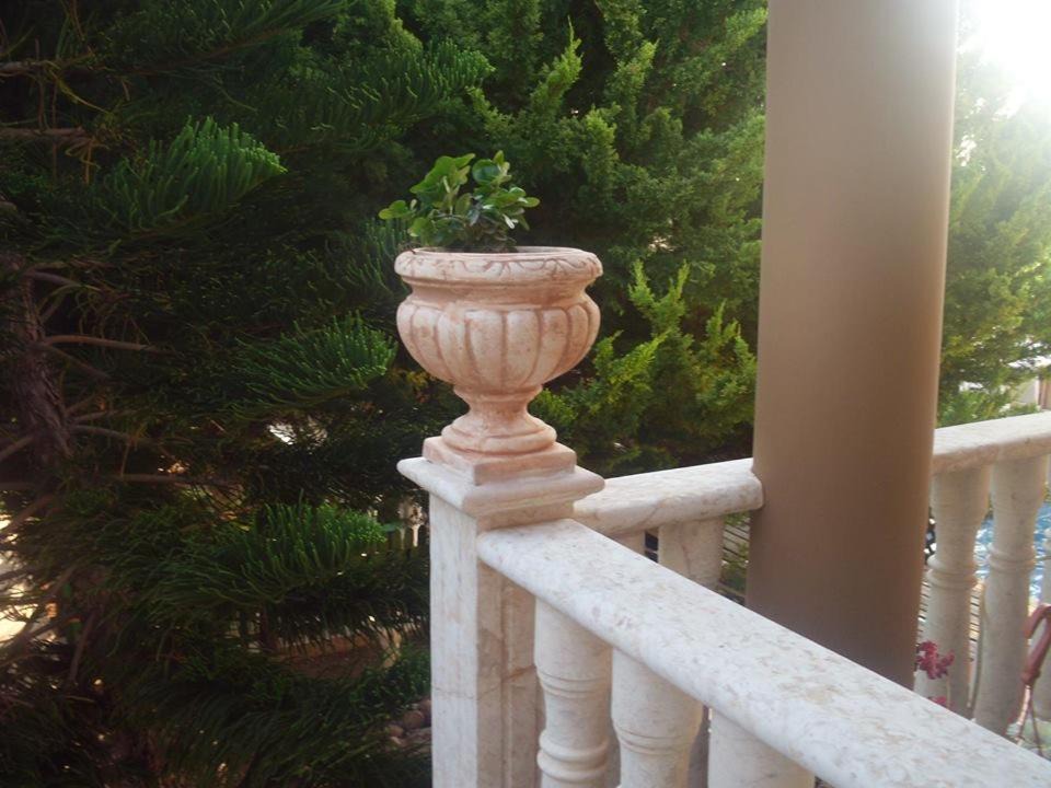 Photo of Patio Balcony in Chlorakas