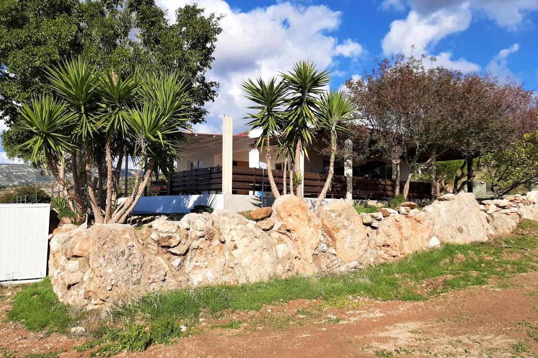 Photo of Others in Pegeia