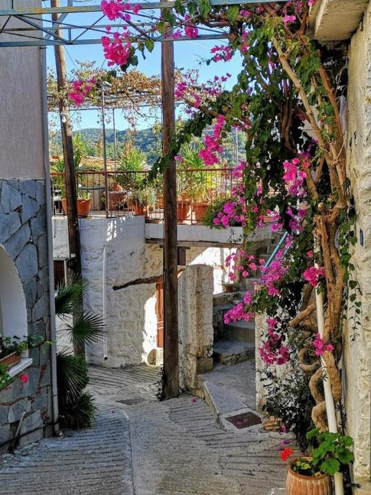 Photo of Others in Kalo Chorio