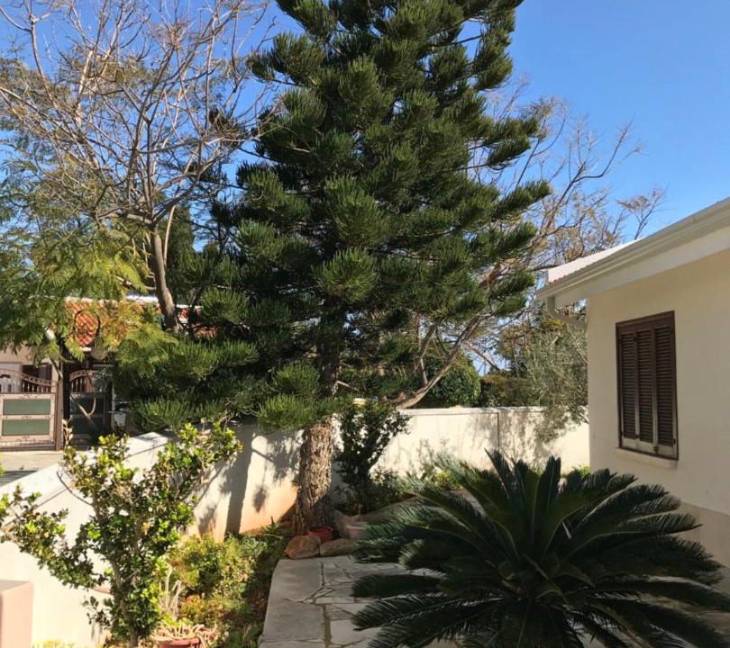 Photo of Buildings in Pissouri