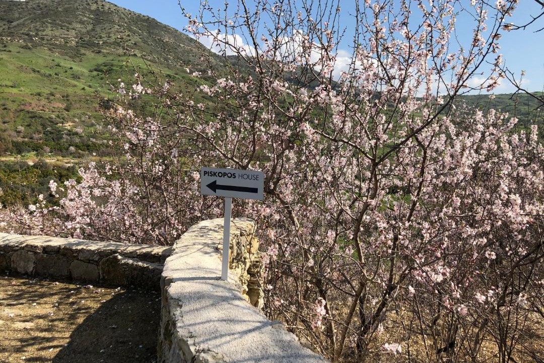 Photo of Outdoor in Episkopi