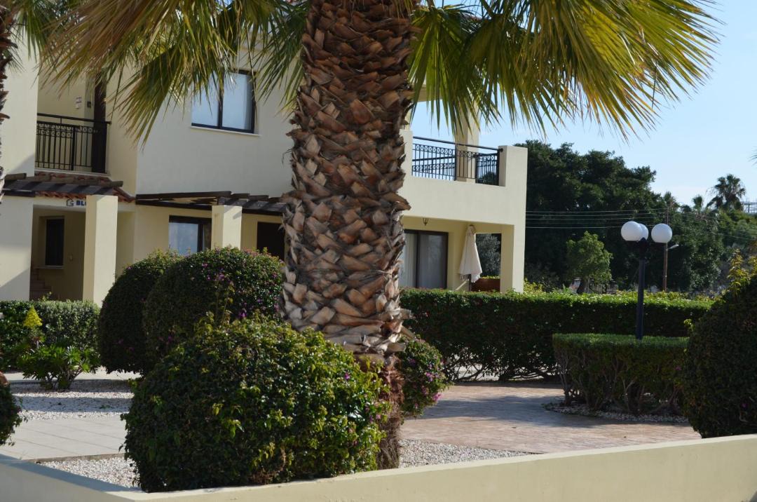 Photo of Others in Paphos