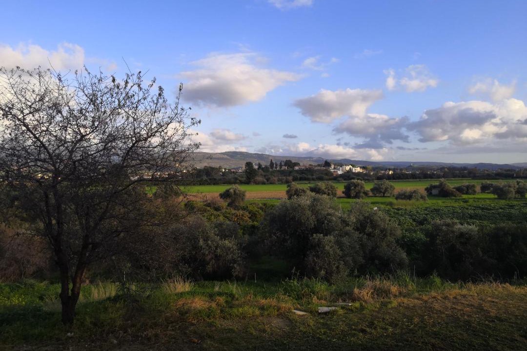 Photo of Outdoor in Polis