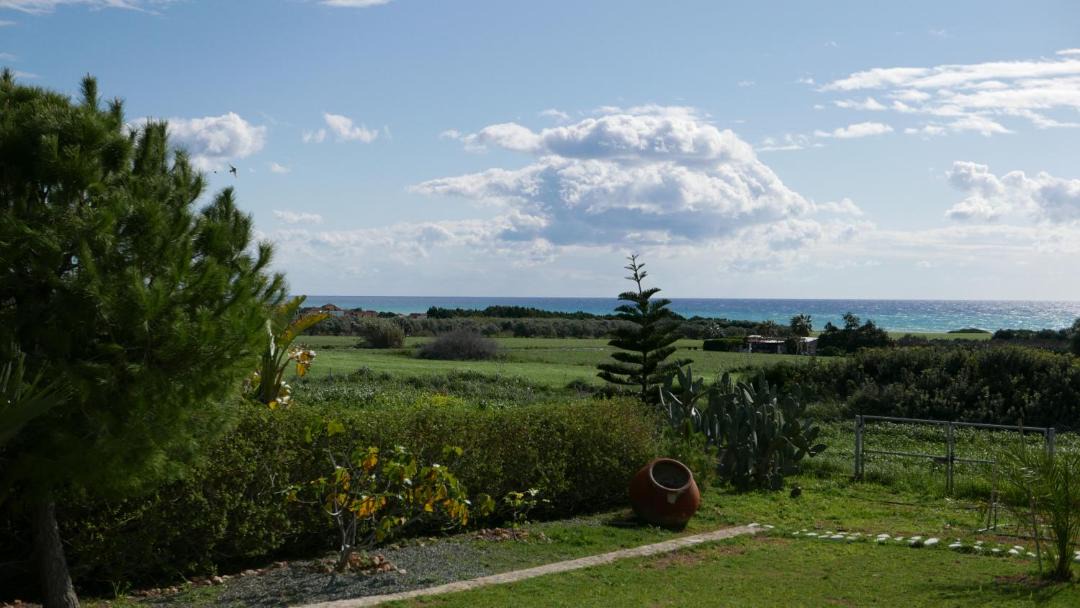 Photo of Others in Agios Theodoros