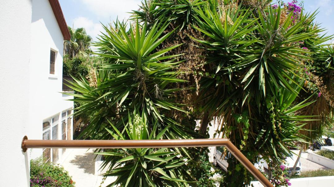 Photo of Others in Paphos