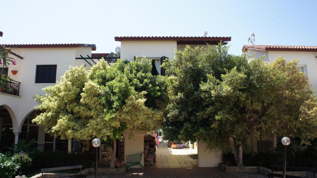 Photo of Buildings in Paphos