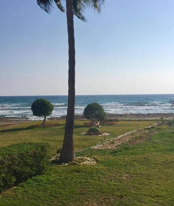 Photo of Others in Pyla