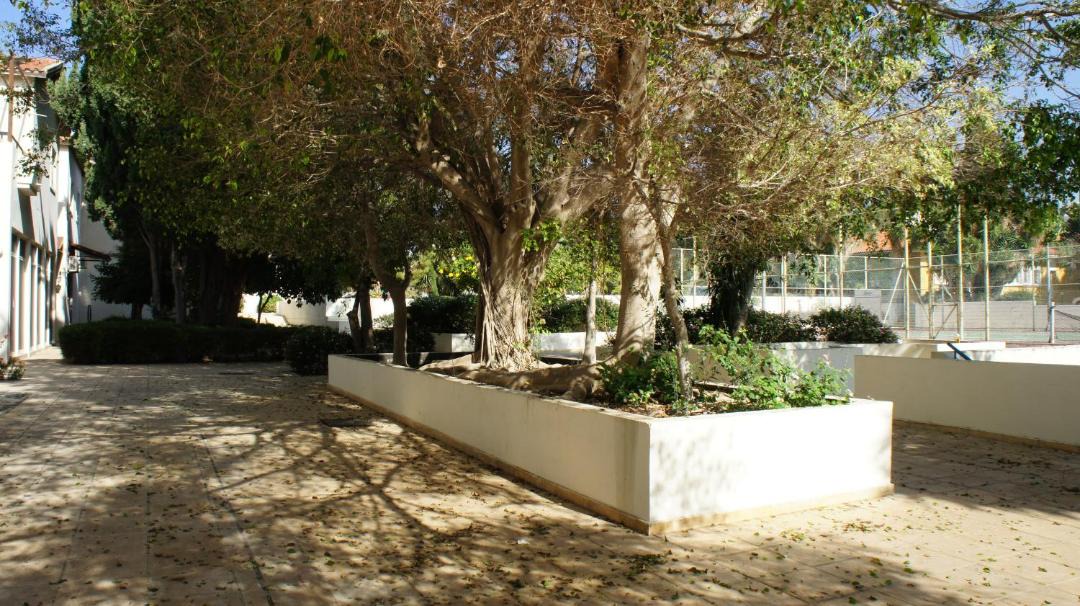 Photo of Others in Paphos