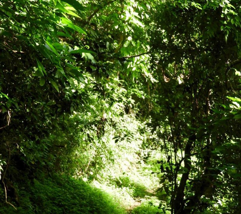 Photo of Outdoor in Santa Cruz
