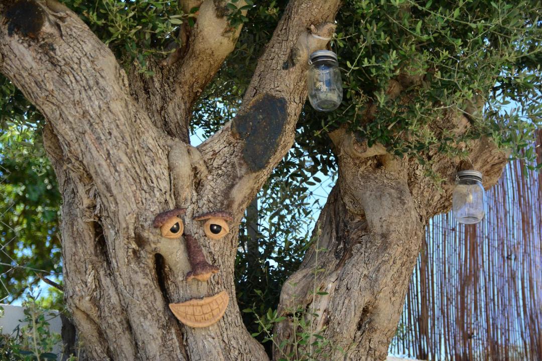 Photo of Others in Tsada