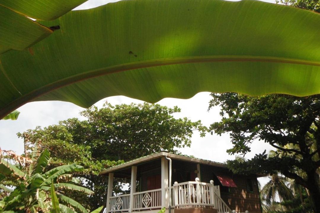 Photo of Others in Corn Island