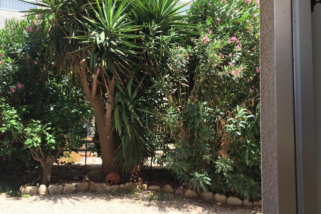 Photo of Others in Paphos