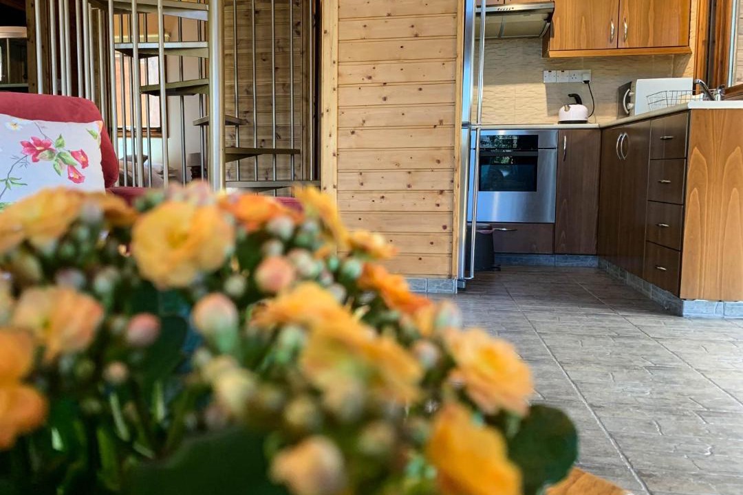 Photo of Kitchen in Vasa Koilaniou