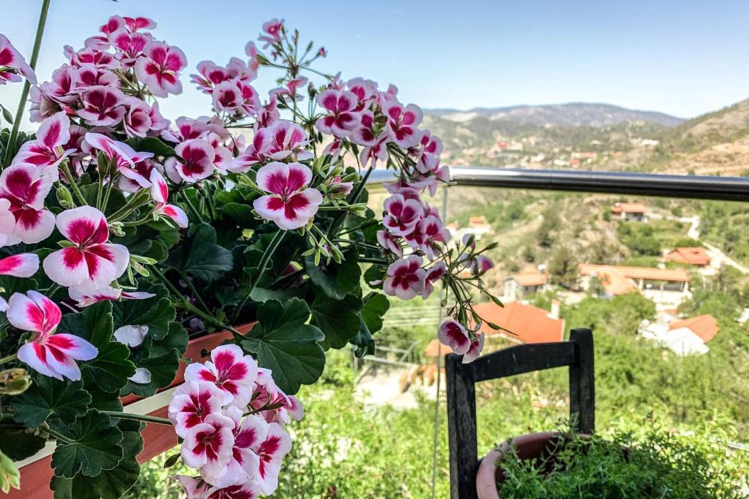 Photo of Patio Balcony in Vasa Koilaniou