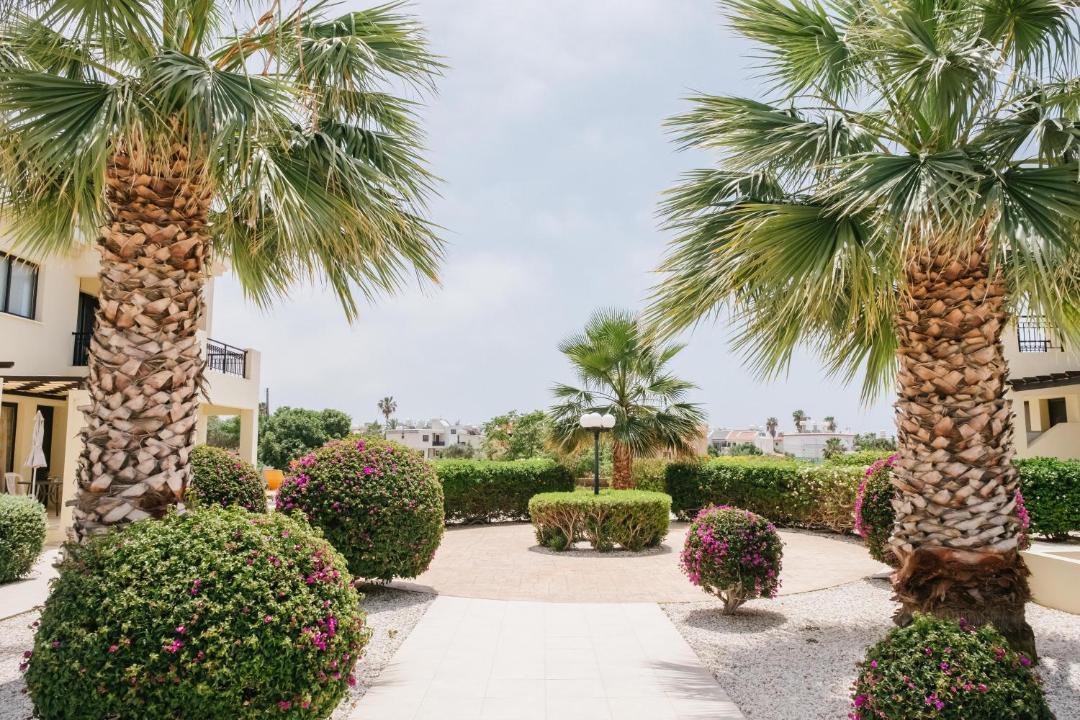 Photo of Others in Paphos