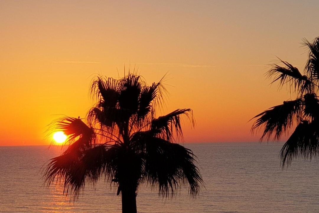 Photo of Others in Pomos
