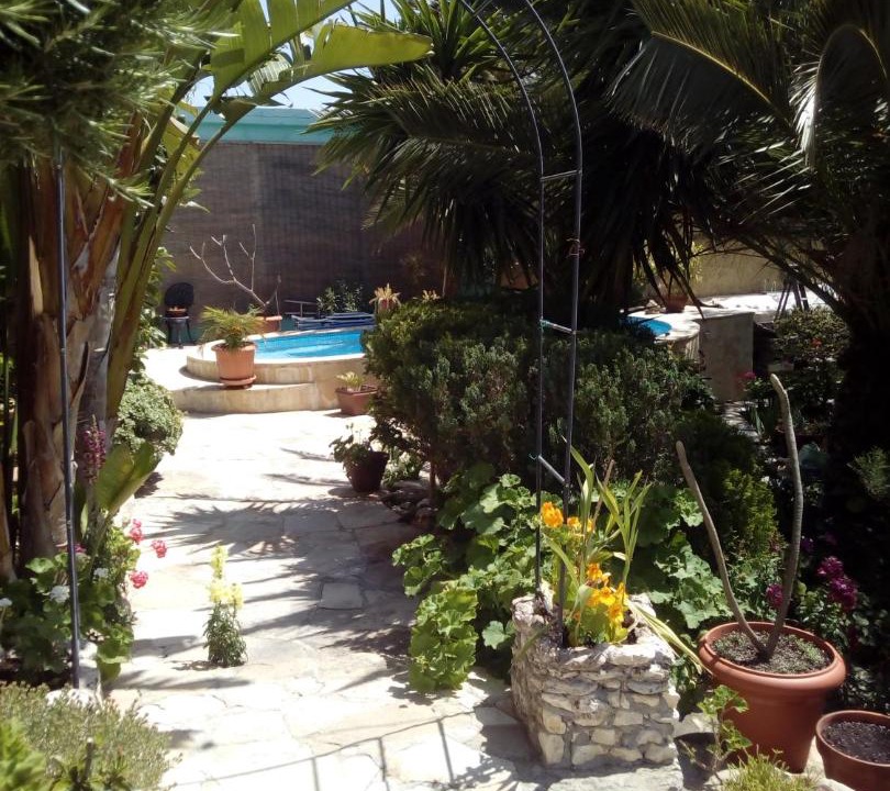 Photo of Others in Mesa Chorio