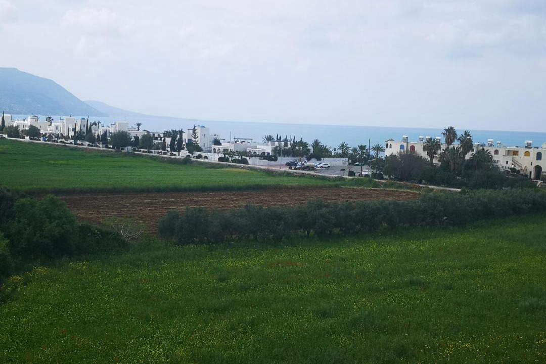 Photo of Outdoor in Latchi