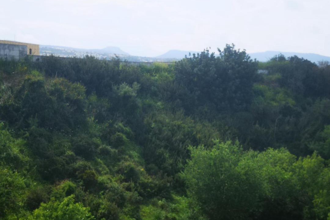 Photo of Outdoor in Latchi