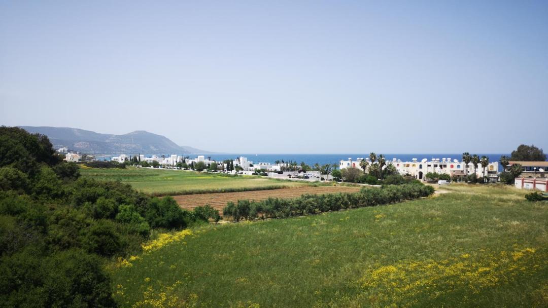 Photo of Outdoor in Latchi
