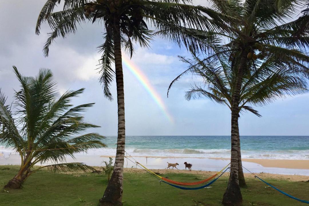 Photo of Others in Corn Island