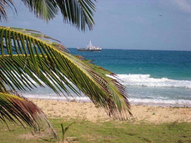 Photo of Others in Corn Island